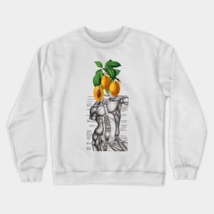 Fruity Nature Crewneck Sweatshirt